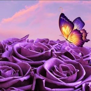 Meet your Posher, Vashawn